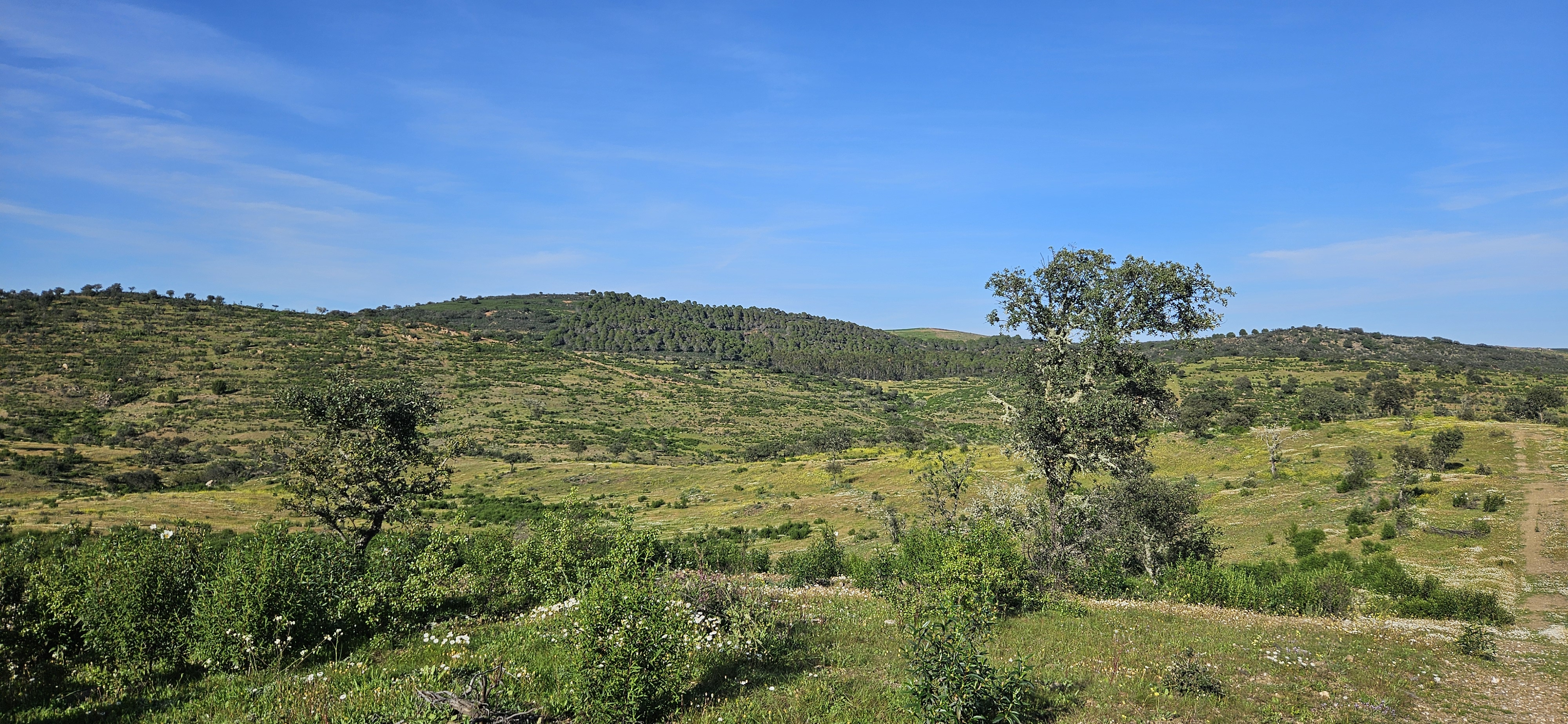 omgeving 11
