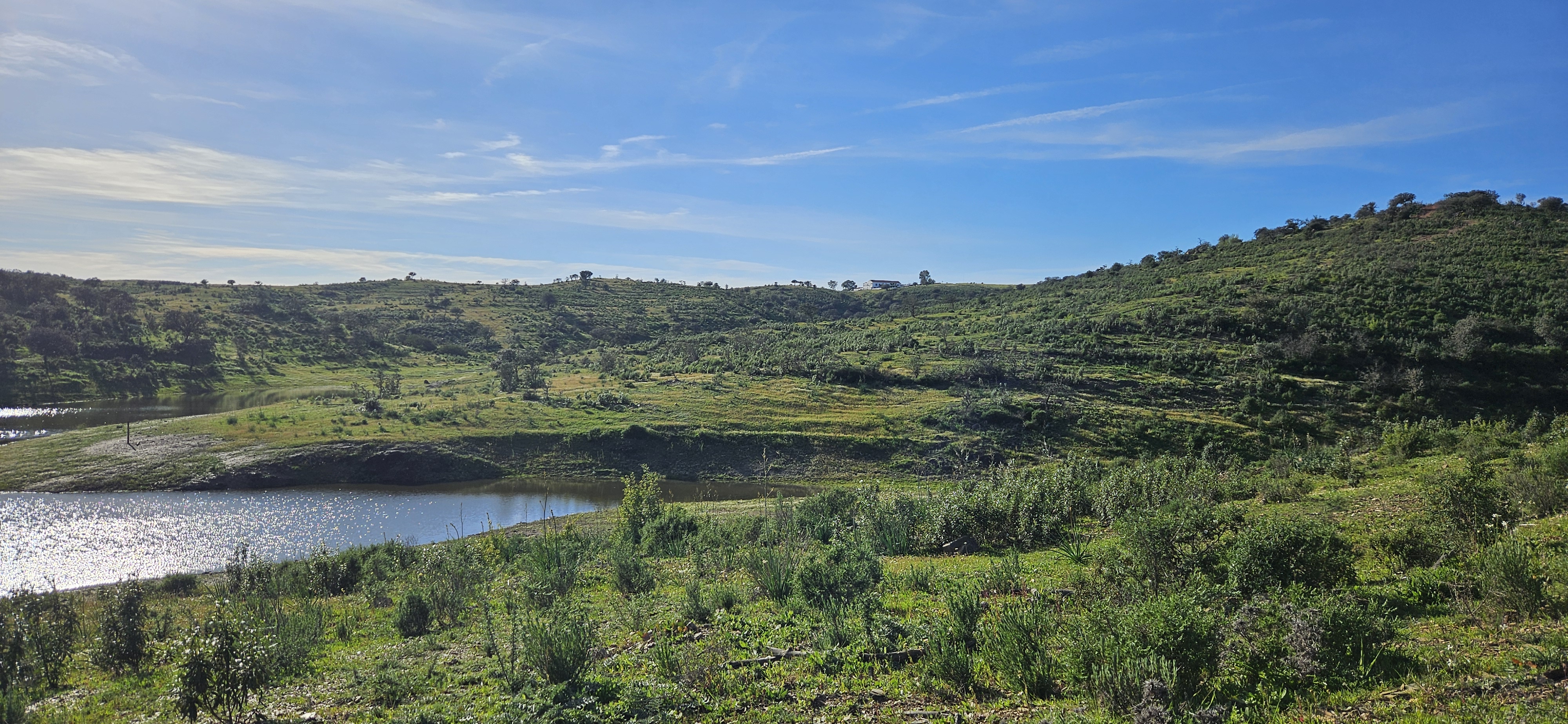 omgeving 16