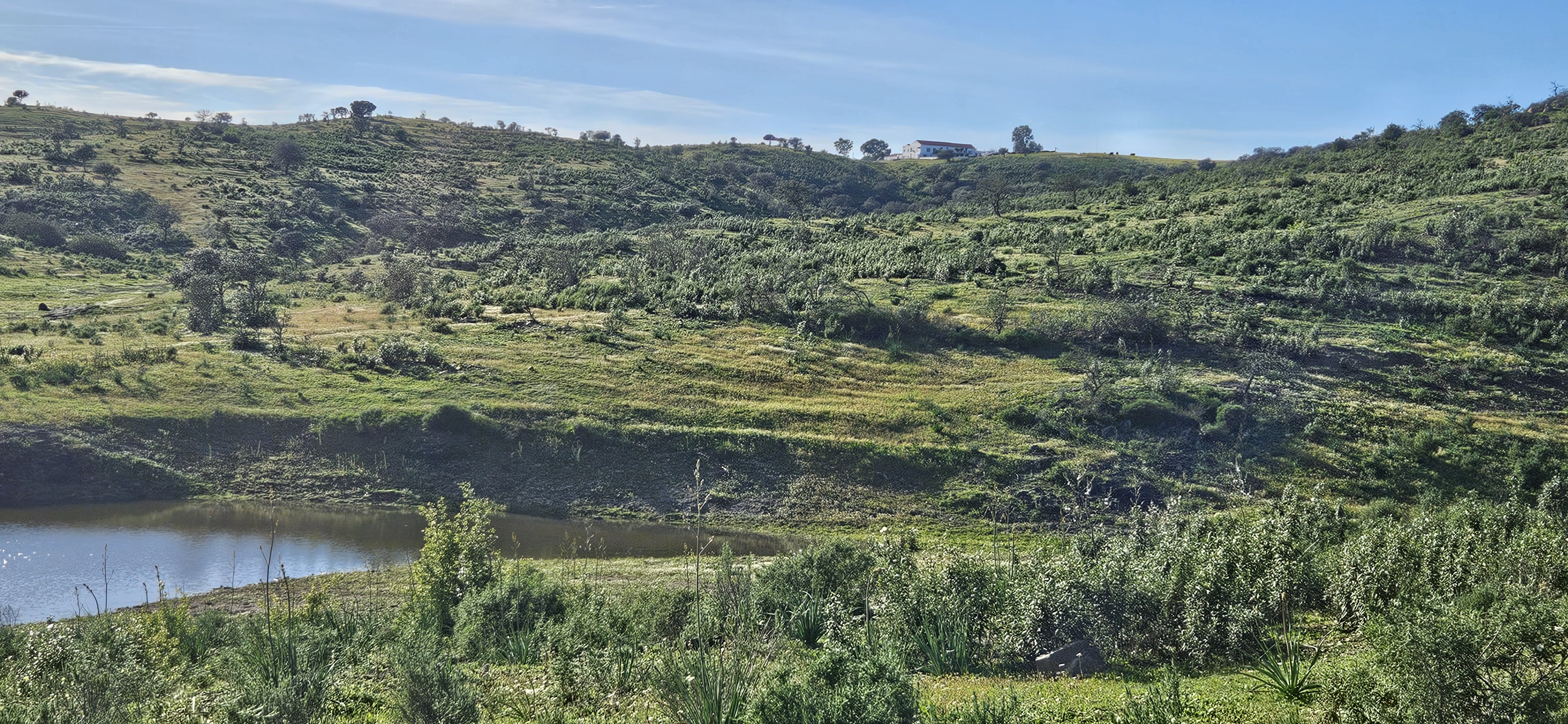 omgeving 22