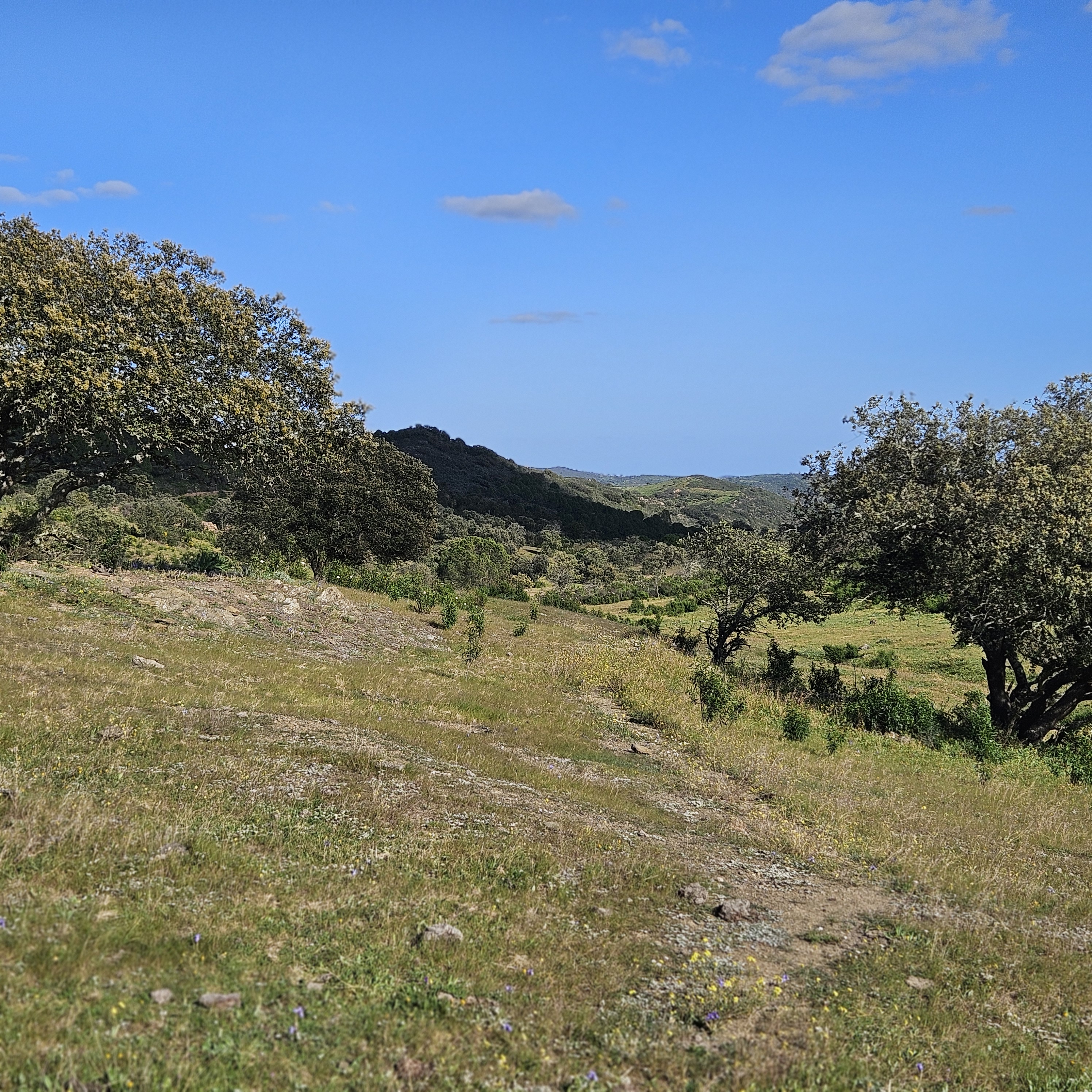 omgeving 23