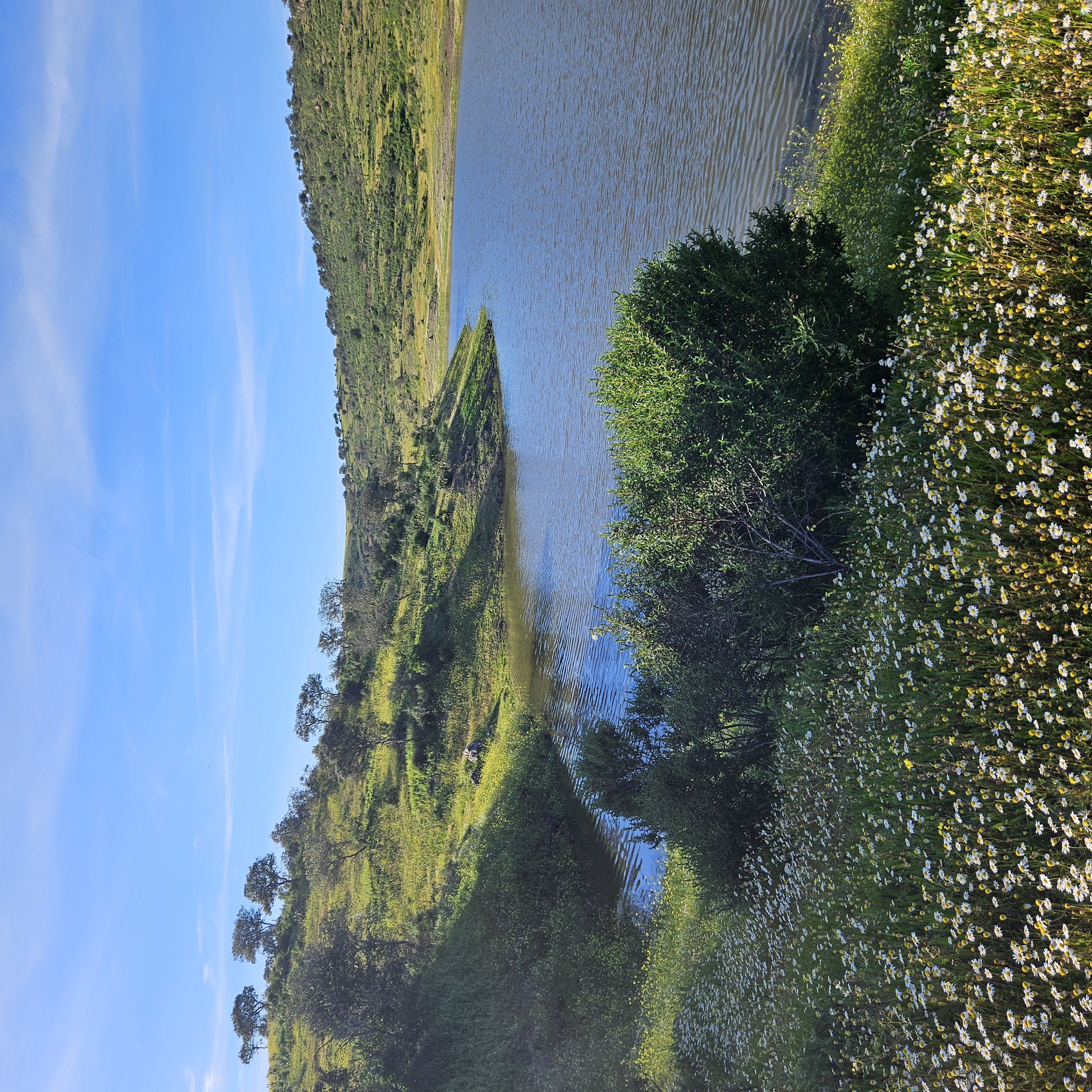 omgeving 34