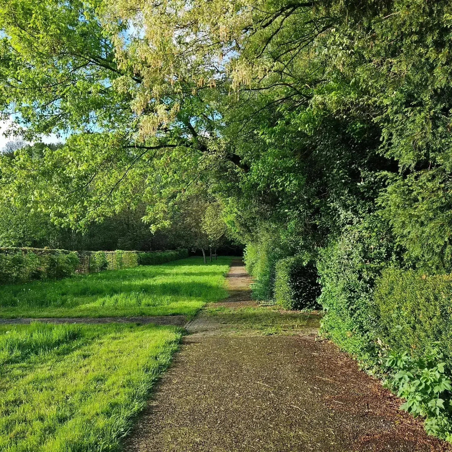 New Loreto - tuin